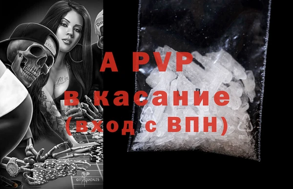 эйфоретик Майский