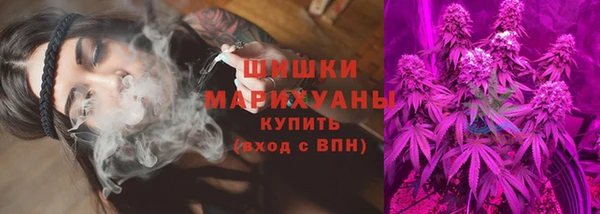 эйфоретик Майский