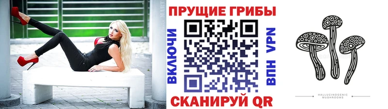 Псилоцибиновые грибы Psilocybe  Светлогорск 